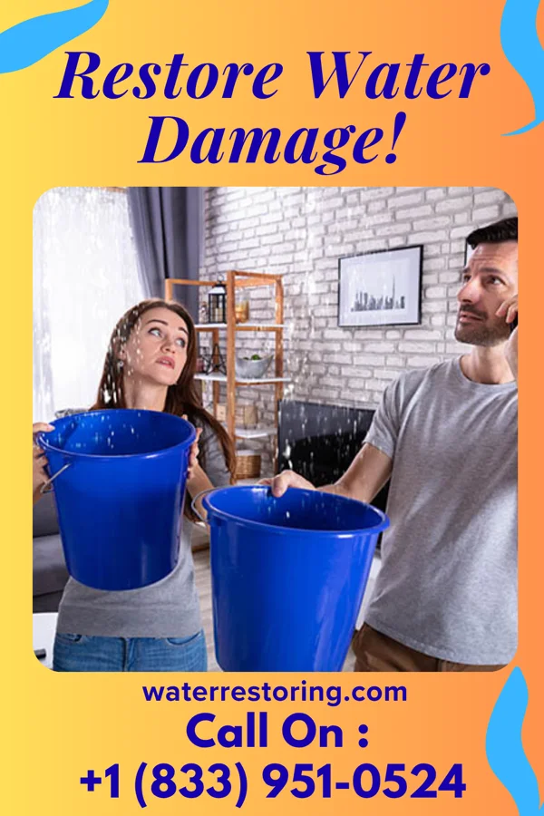 water restoration Sterling Storm Recovery Professionals Chebanse