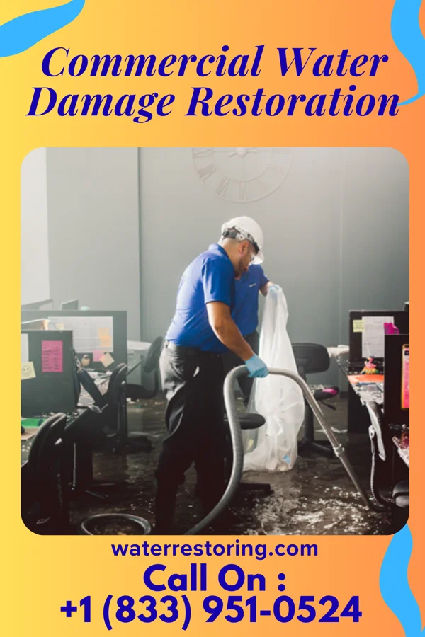 Commercial Water Damage Restoration in Chebanse, IL