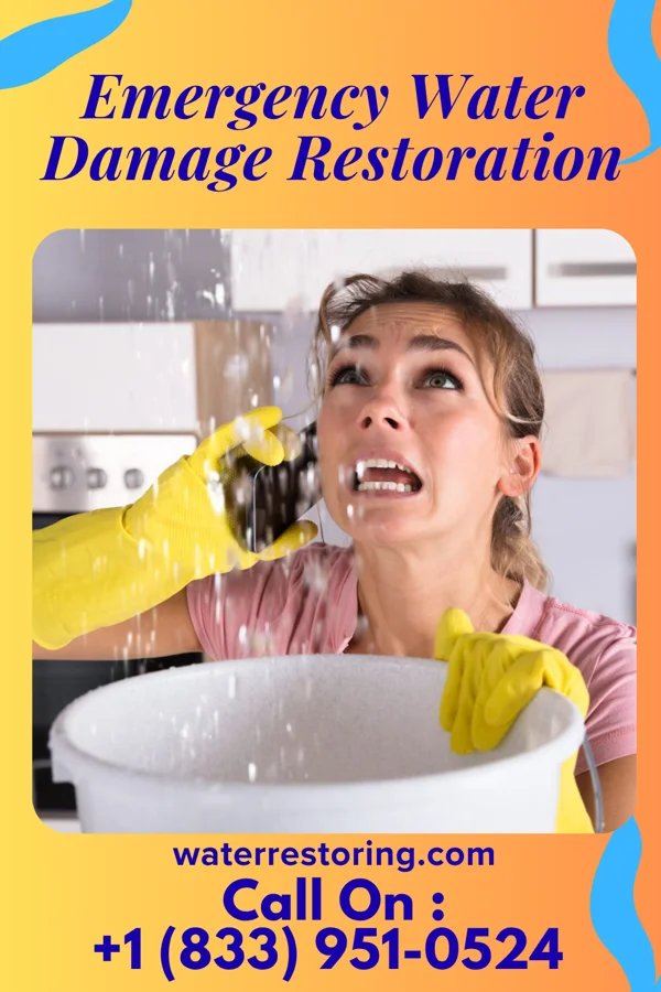 Emergency Water Damage Restoration in Chebanse, IL