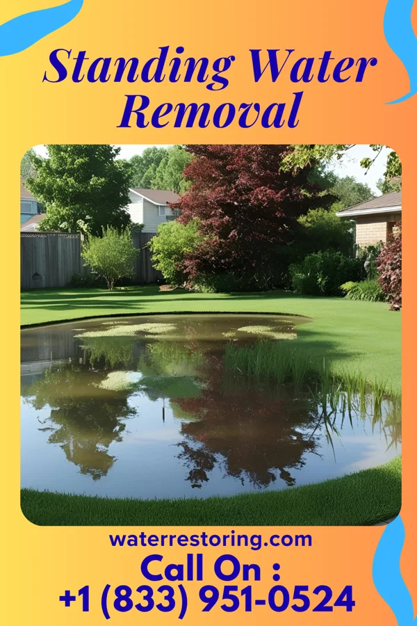Standing Water Removal in Chebanse, IL